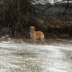 Meet your Posher, Theresa